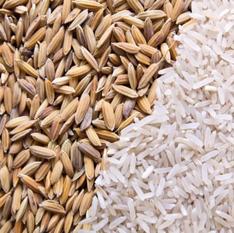 husking rice